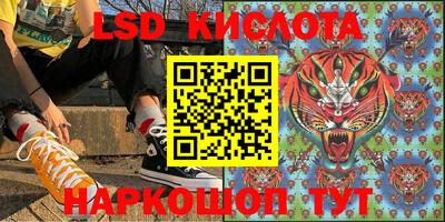 гашик Кинель