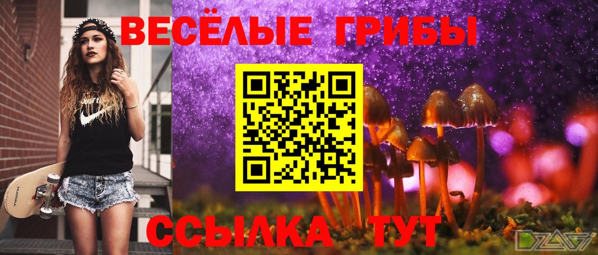 Галлюциногенные грибы прущие грибы Кувандык