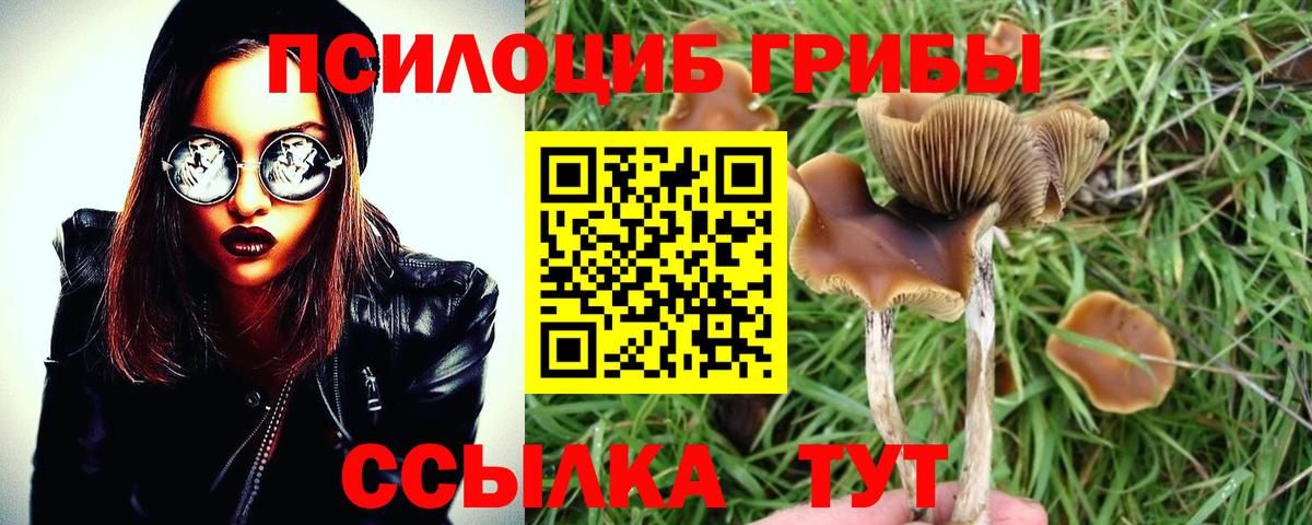 Кувандык  Галлюциногенные грибы мухоморы  цена наркотик  Вход с VPN 